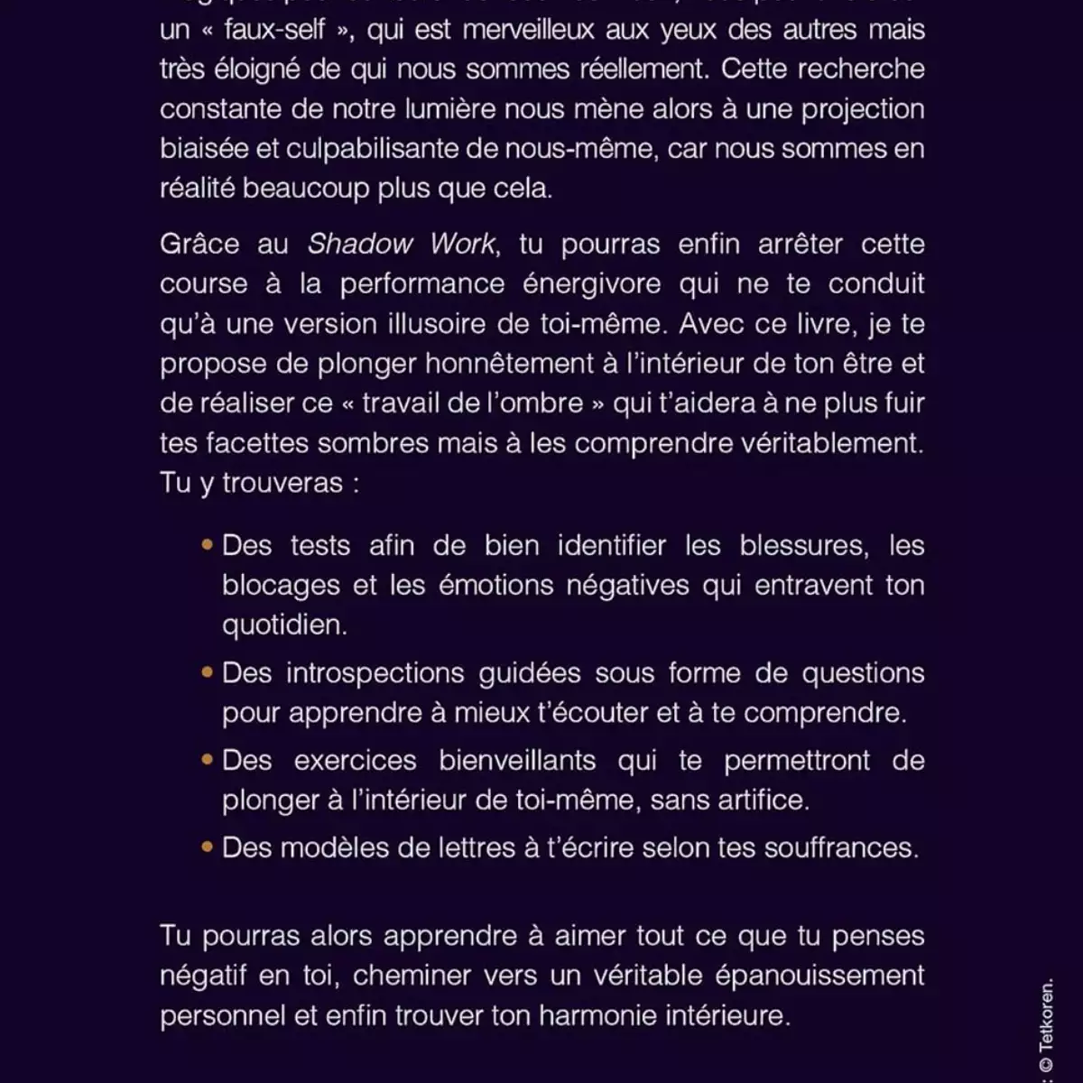 Le Shadow Work d'Isabelle Cerf - Le journal qui éclaire tes parts d'ombre